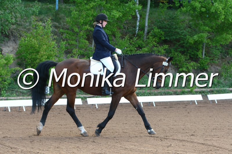 104M4684_Landino_Dressur E.JPG